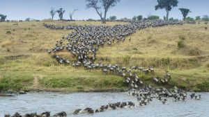 Været og temperatur i Serengeti National Park i november 2025