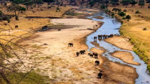 Tarangire National Park temperatur, klima og vær gjennom året