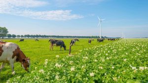 Flevoland temperatur, klima og vær gjennom året
