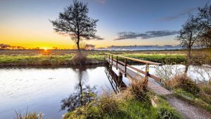Friesland temperatur, klima og vær gjennom året