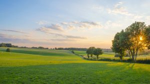 Limburg temperatur, klima og vær gjennom året