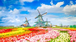 North Holland temperatur, klima og vær gjennom året
